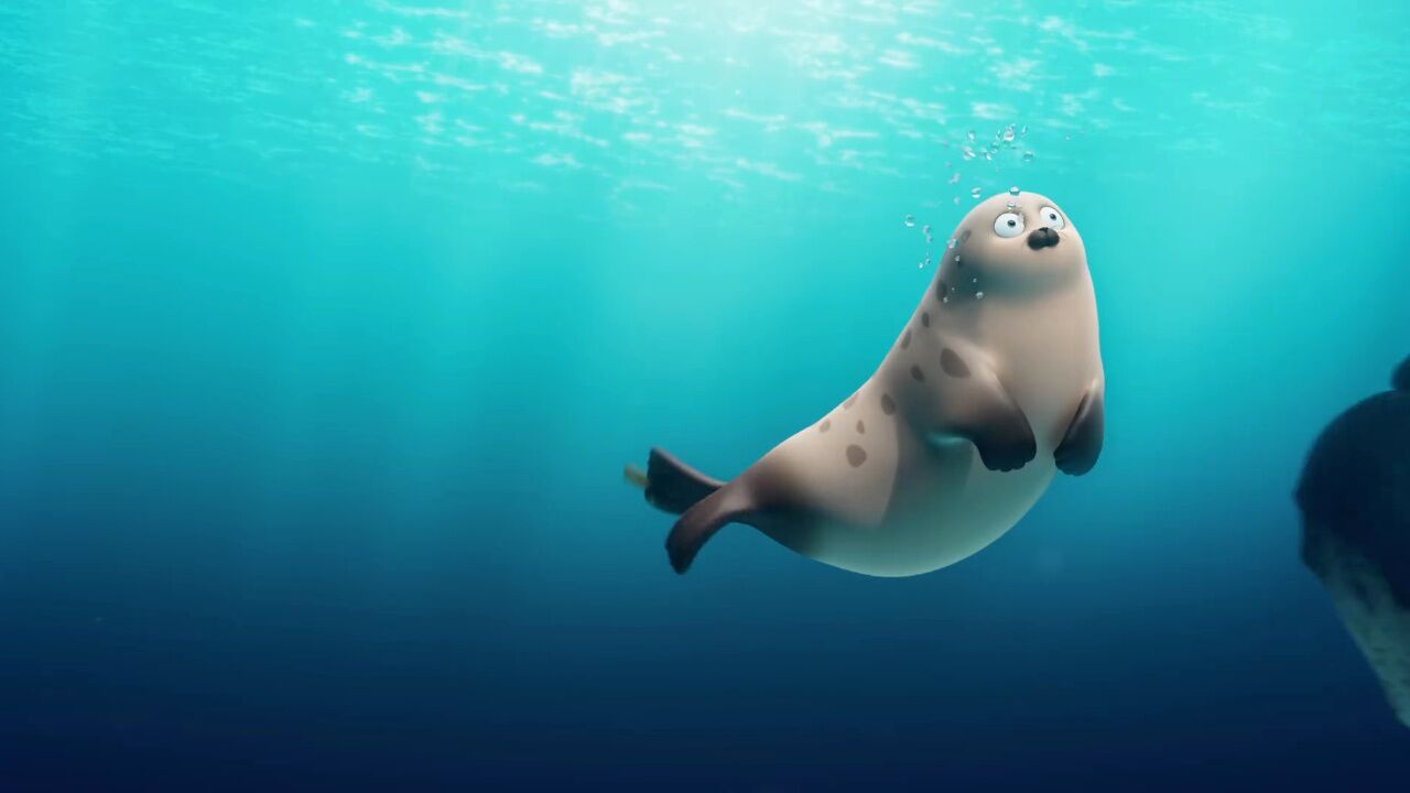 小海豹吵吵闹闹