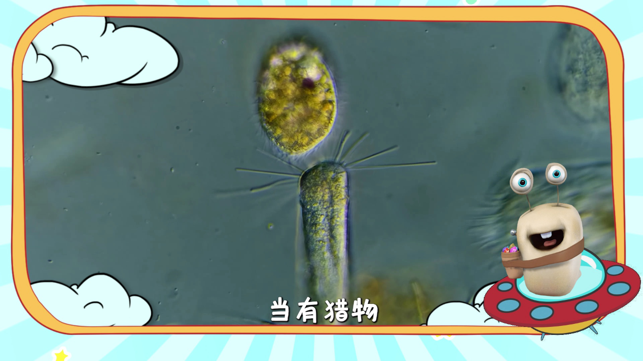 白白侠的微生物朋友 14集
