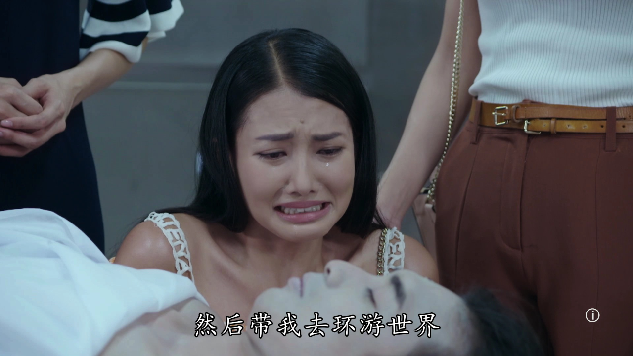 荷里活有个大老千[粤语版] 22集