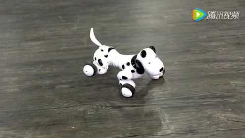 视频: 智能遥控机器狗益智电动玩具狗早教电动电子狗跳舞机械宠物狗