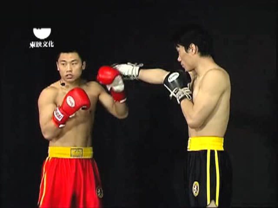 散打高清教学_腾讯视频