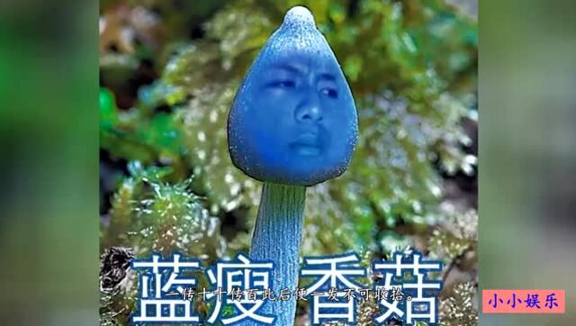 蓝瘦香菇哥直播讲述自己分手过程