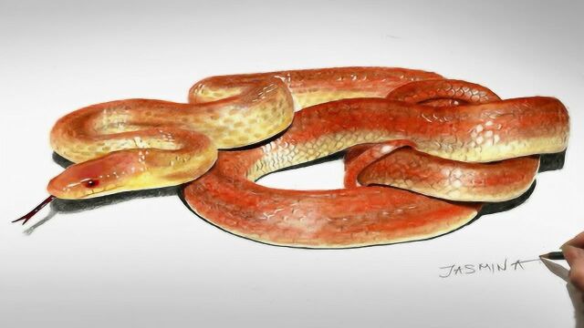 3d彩色铅笔绘图画一条盘旋的长蛇跟真蛇一样