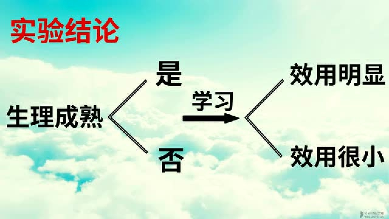 格赛尔双生子_高清1080P在线观看平台_腾讯视频