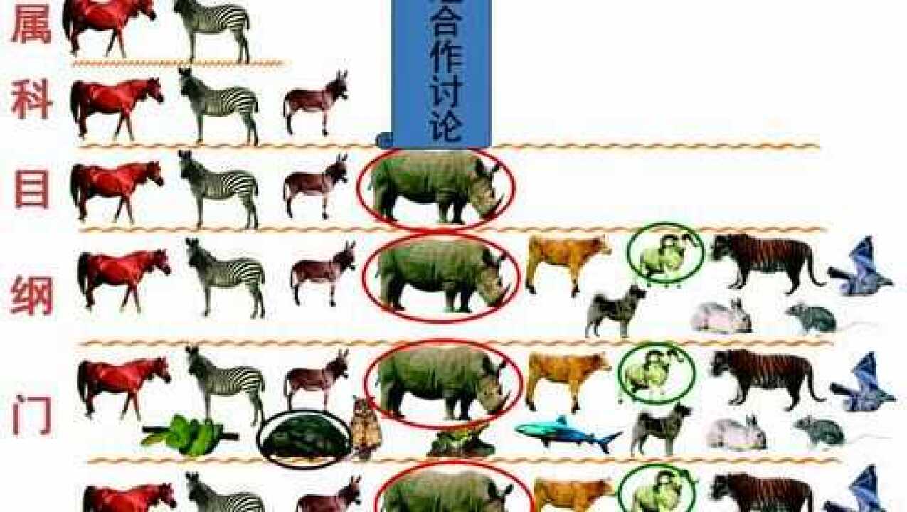 人教版初二生物上册第一章根据生物的特征进行分类第二节从种到界_高清1080P在线观看平台_腾讯视频