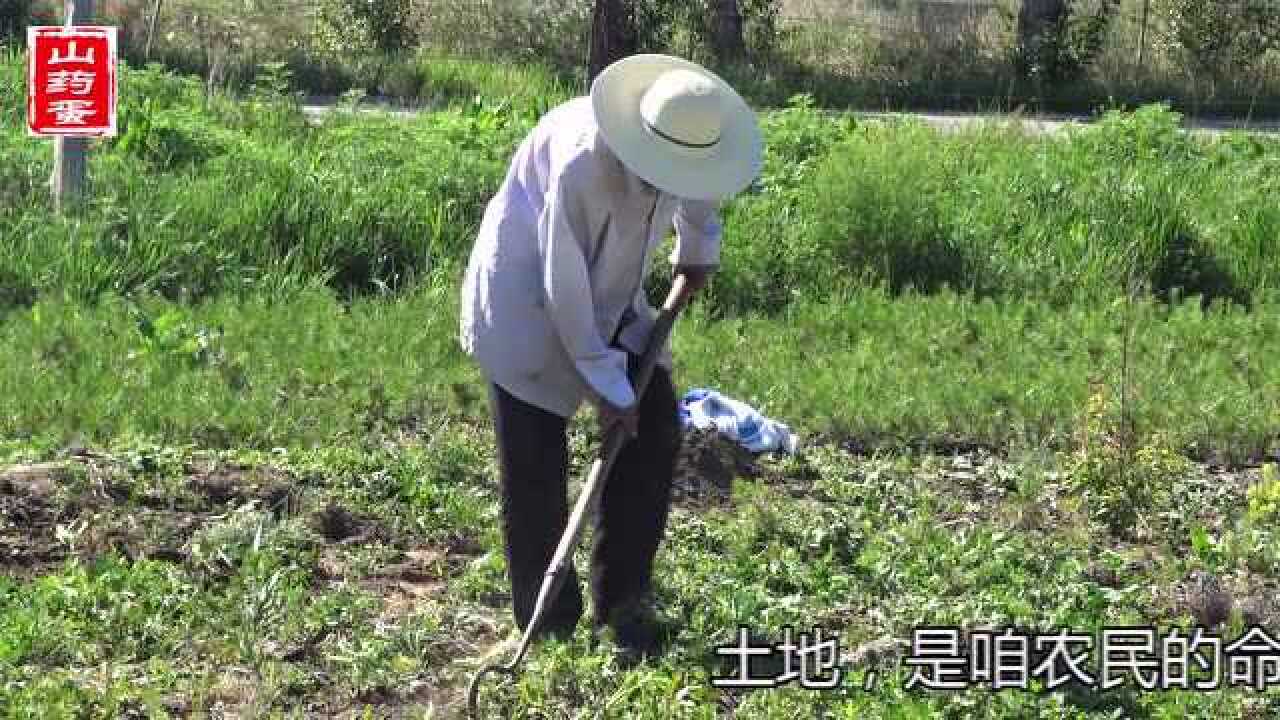 农民扛大锄锄地_高清1080P在线观看平台_腾讯视频
