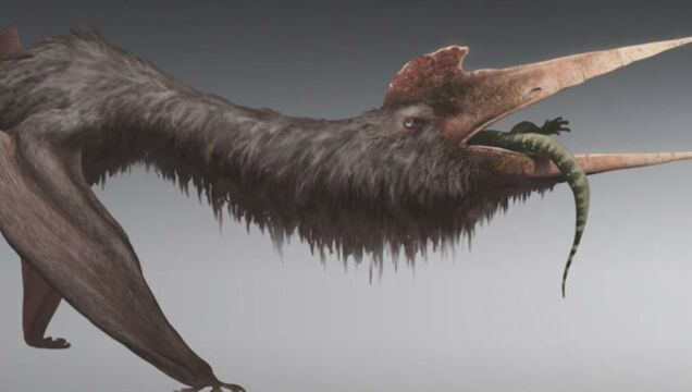 五种比霸王龙更可怕的恐龙你听说过吗异特龙风神翼龙