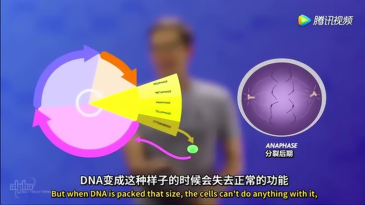 DNA并不是你想的那么简单哦！你对DNA的认识是多少？_高清1080P在线观看平台_腾讯视频