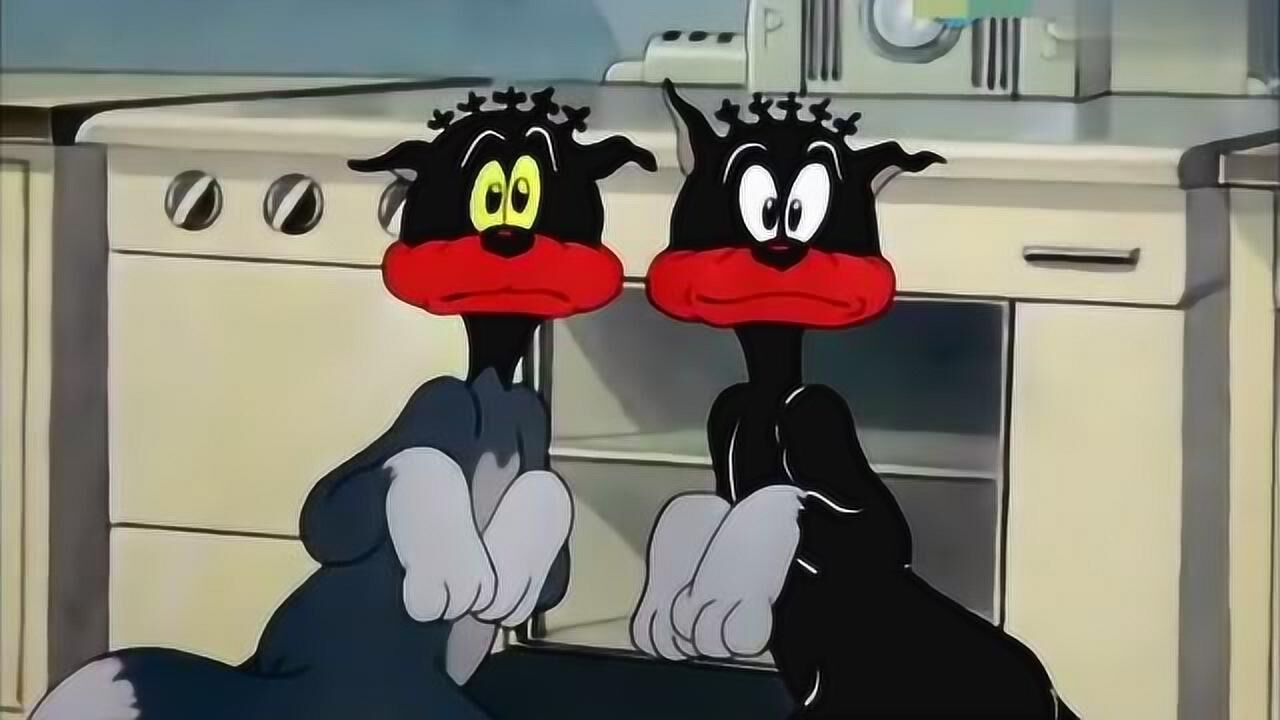 猫和老鼠 汤姆和布奇在家偷懒享受 被主人下令捉拿杰瑞