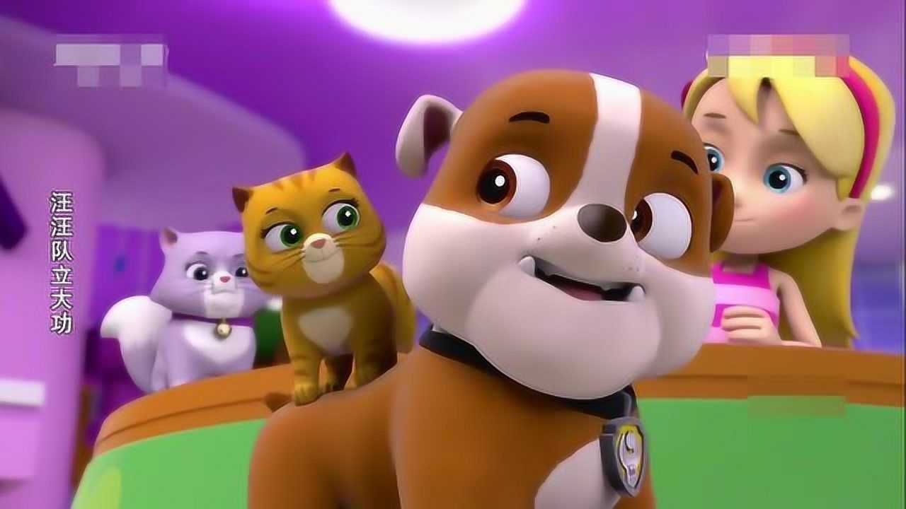 汪汪队立大功-猫咪惹的祸!
