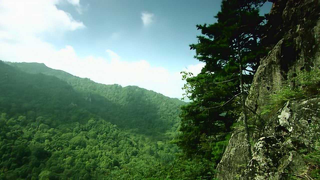 张良庙-紫柏山景区介绍