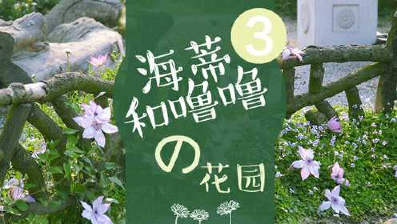 海蒂和噜噜的花园第三集海妈的铁线莲种植技巧分享