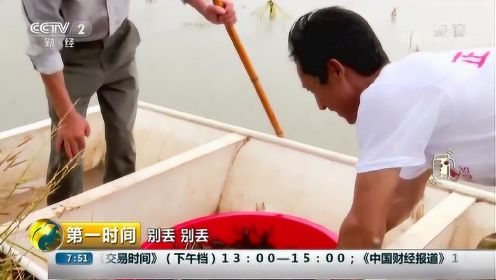 湖北潜江：科学养殖小龙虾 技术人员来帮忙