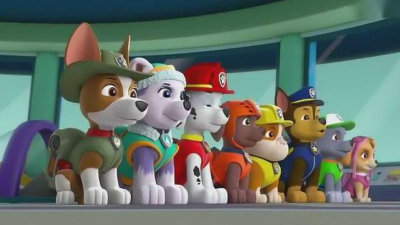汪汪队动画片:汪汪队执行任务狗狗8只狗狗大集合,小克有特别任务!