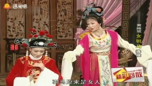 韩再芬黄梅戏《女驸马》选段，灵敏机智，个性鲜明，栩栩如生！