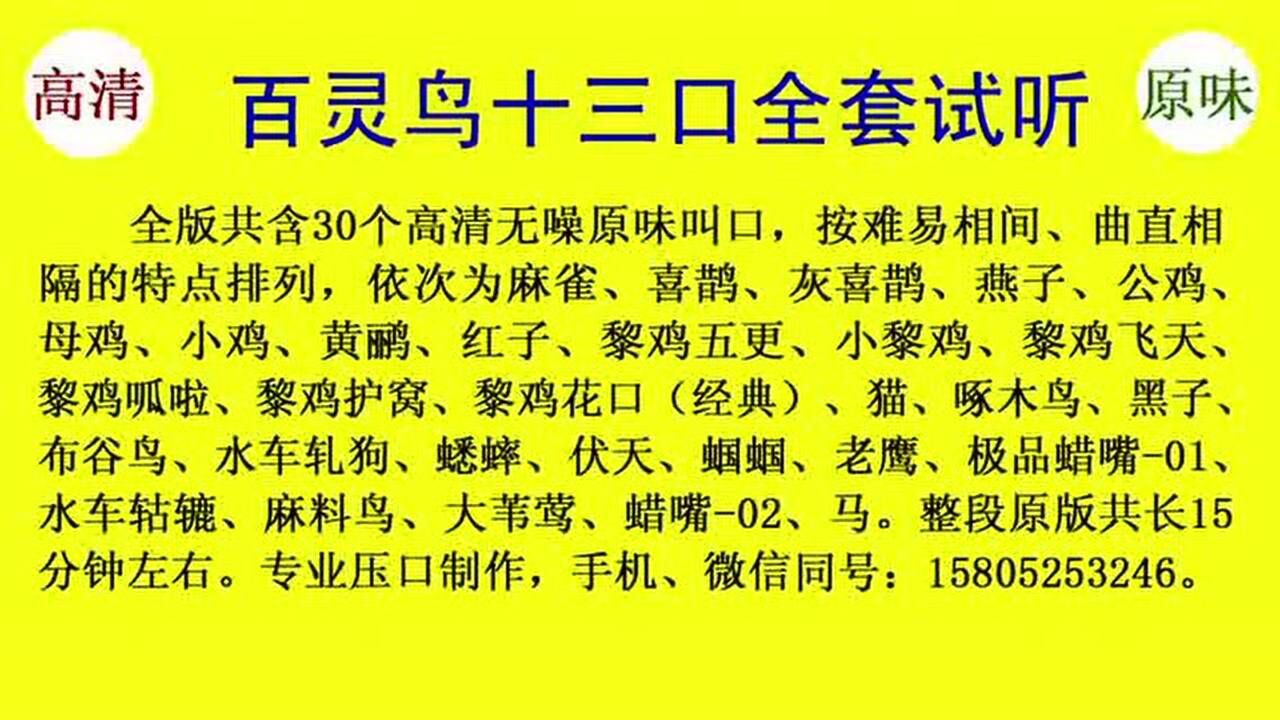 百灵鸟 十三口 叫声 百灵 十三套 压口 押口 保定口