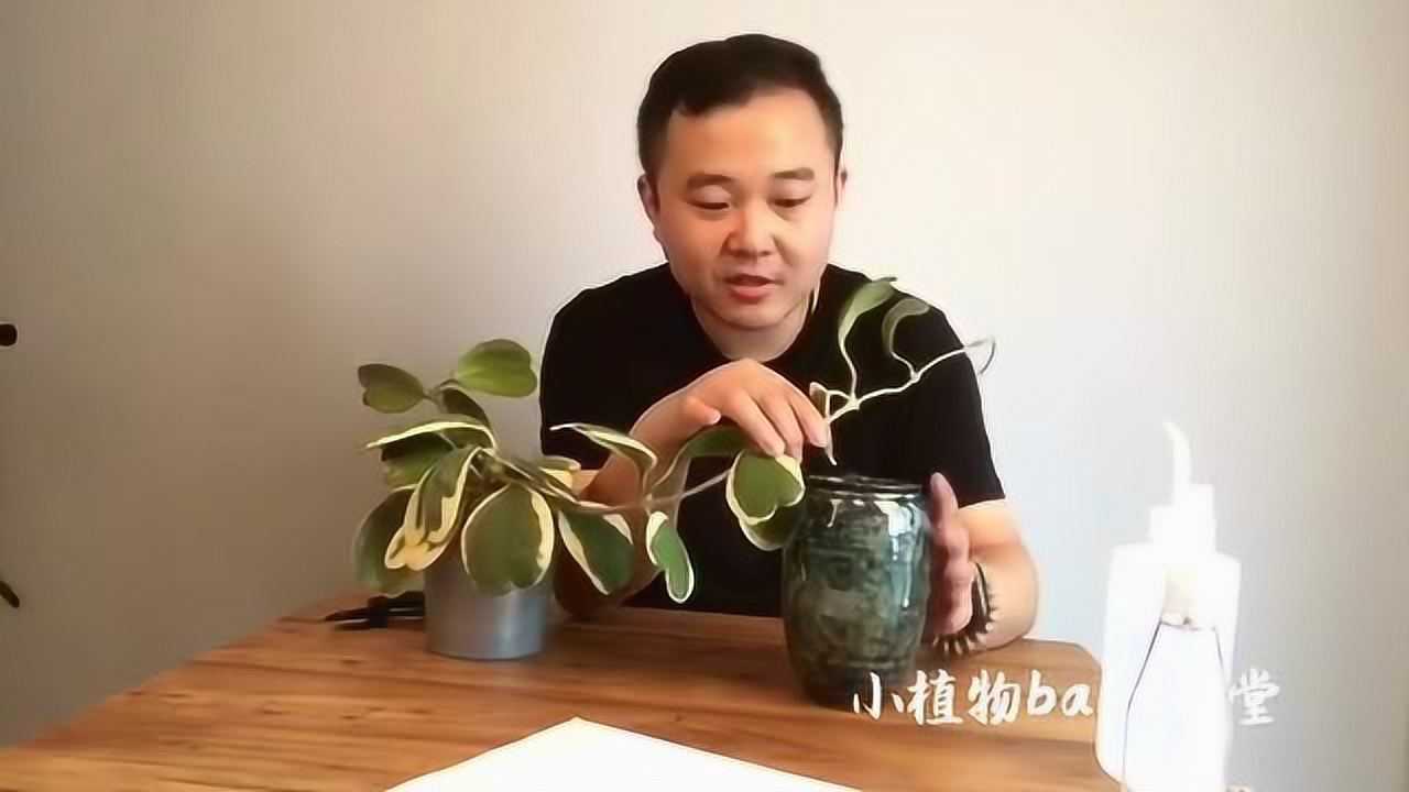 桂圓子手作坊01:28新手玩粘粘球怎麼避坑?這些不好用的膠帶