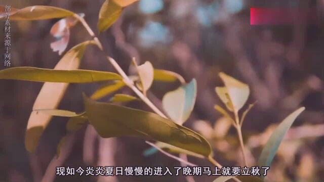 农村俗语“立了秋,扇莫丢”有道理吗?