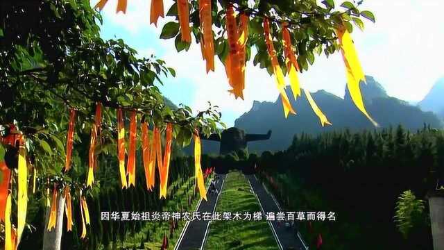 神农架“中国天然氧吧”宣传片