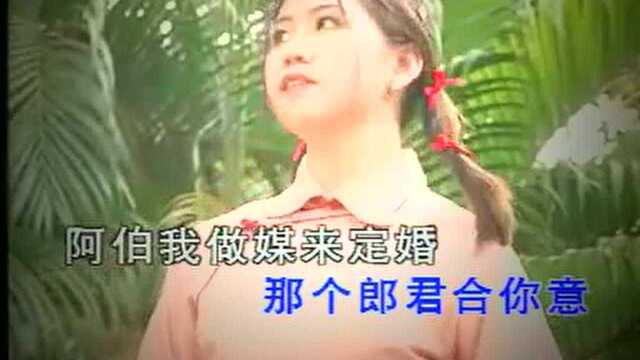 《桃花搭渡》潮州歌