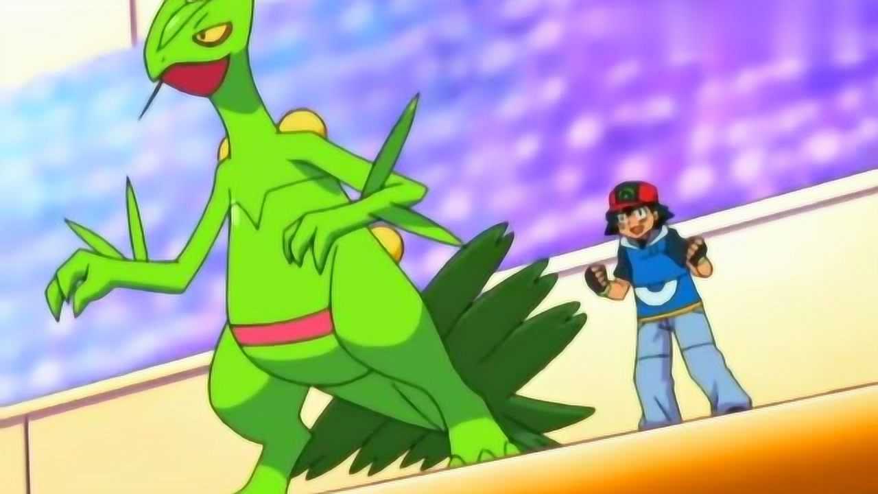 神奇宝贝小智的蜥蜴王和小瑶火焰鸡同时进攻会是什么境界