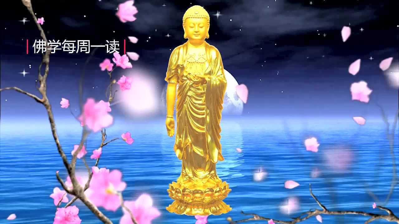 南无阿弥陀佛圣号,景色莲花太美了!