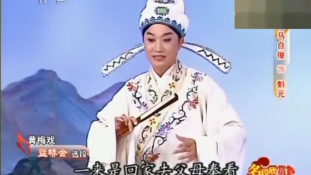 黄梅戏《蓝桥会》选段 风吹绿柳千条线 马自俊演唱