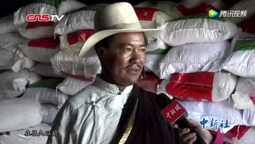 西藏阿里“盐羊古道”再辟民众致富“商路”