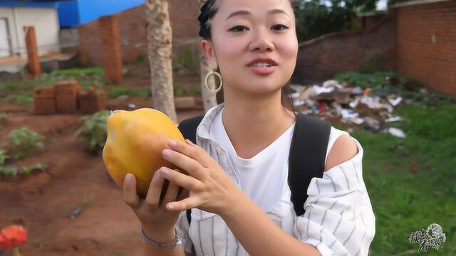 中国姑娘在非洲摘到木瓜,开心得笑起来