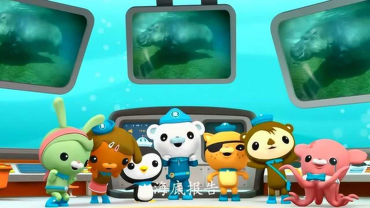 海底小纵队:海底报告讲的是河马爱玩泥巴这样会让他们凉快