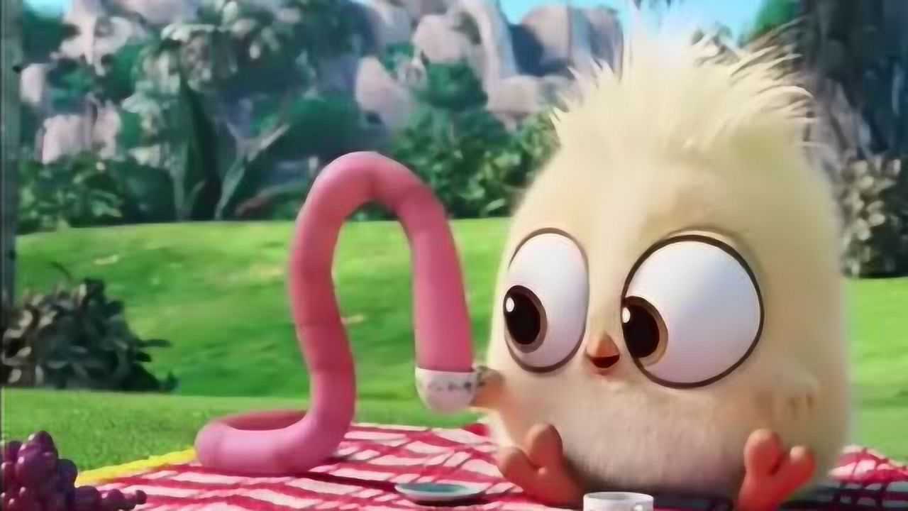 见过吃蚯蚓的鸡,你见过养蚯蚓的鸡吗?_腾讯视频