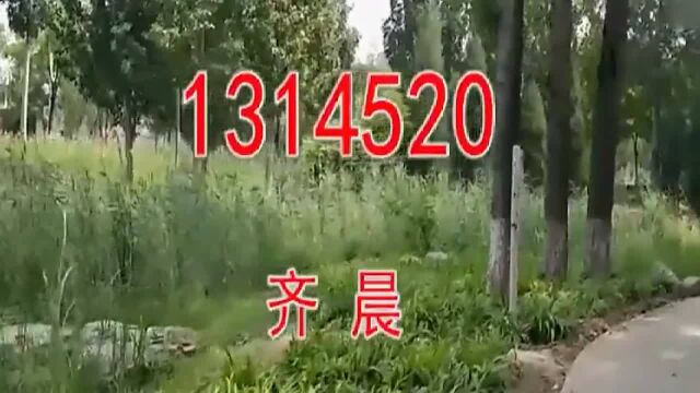 一首《1314520》一生一世我爱你,好听极了