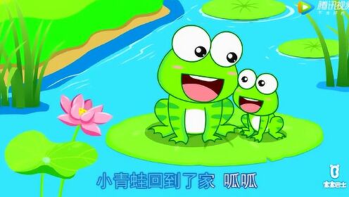 儿歌,小青蛙要回家,回家找妈妈