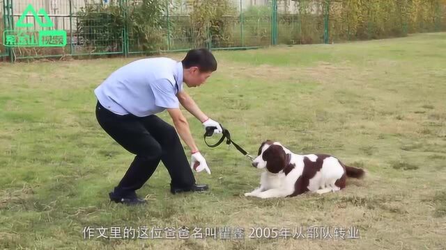 警察儿子写作文:爸爸早出晚归,只记得被子上的味道