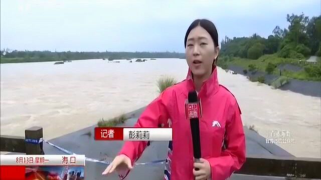 暴雨侵袭:南渡江水位每小时涨3公分 值班人员加强巡查防范