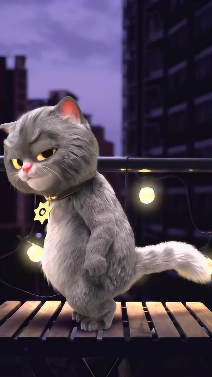 动画斑布猫:海草舞,我是不是全网最后一个跳海草舞的?惊喜吗