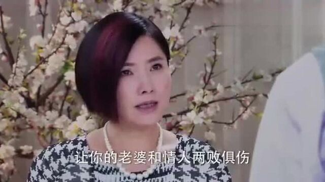 婉若到周家找田心,却意外得知田心早就离婚离开周家了