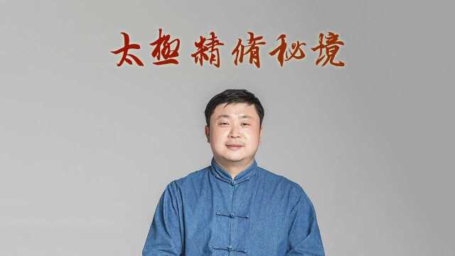 太极拳的科学定义思考——太极精修密境第198期