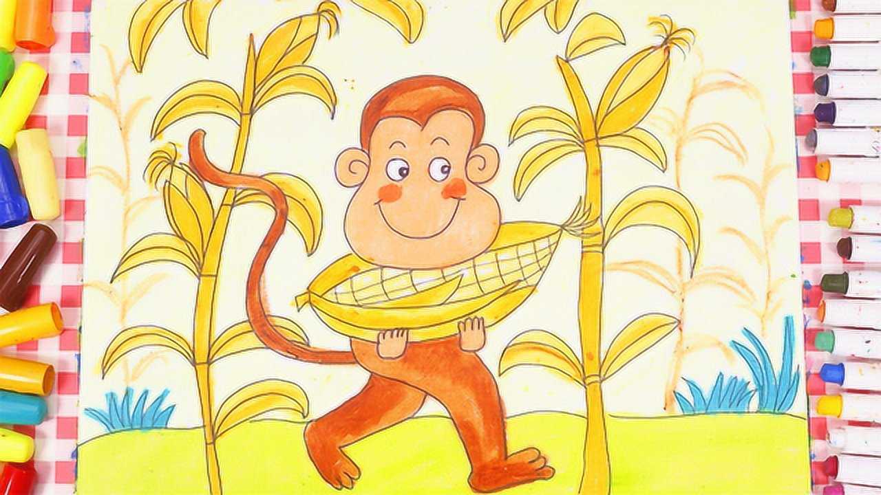 儿童画场景故事 小猴子掰玉米