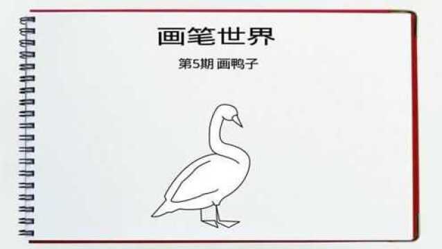 零基础学画画,画画入门教程,10天学会画画—第5期