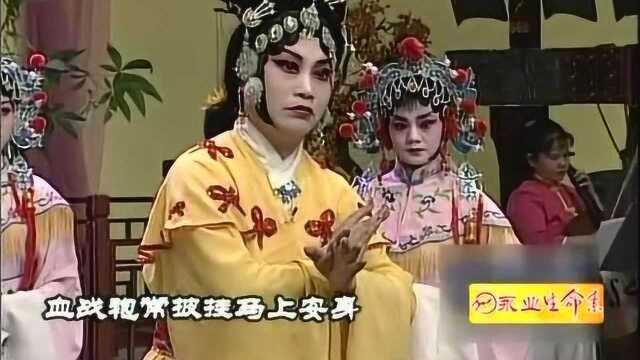 好戏天天看20110125豫剧《吕后杀宫》索海燕 海燕豫剧团