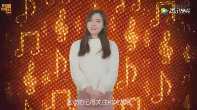 经典名曲《二泉吟》董文华演唱,不可多得的经典歌曲