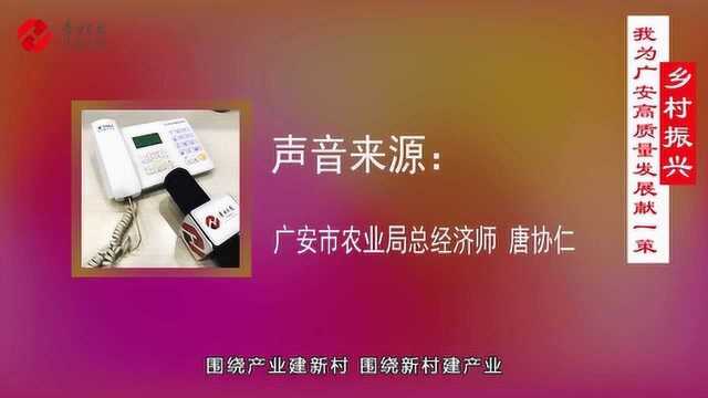 我为广安高质量发展献一策 海采14