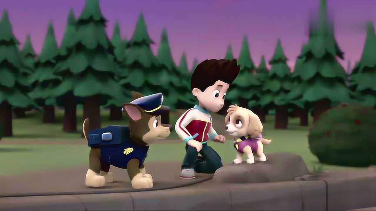 汪汪队阿奇跟天天表白天天却因为这个理由拒绝阿奇伤心的离开