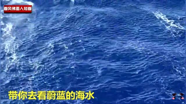 深海领域海面是啥样?带你去看蔚蓝的海水,水深7000多米!