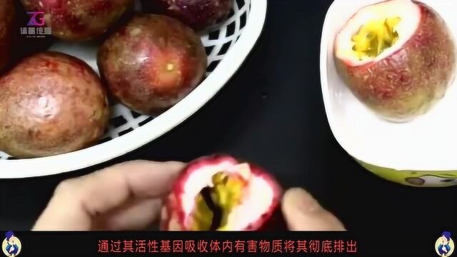 百香果是什么?百香果的神奇功效与作用!