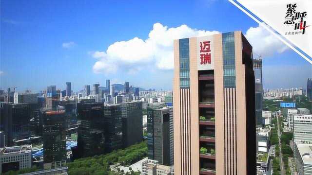 迈瑞回应突然解约254名大学生:应届生短期内不能匹配业务需要