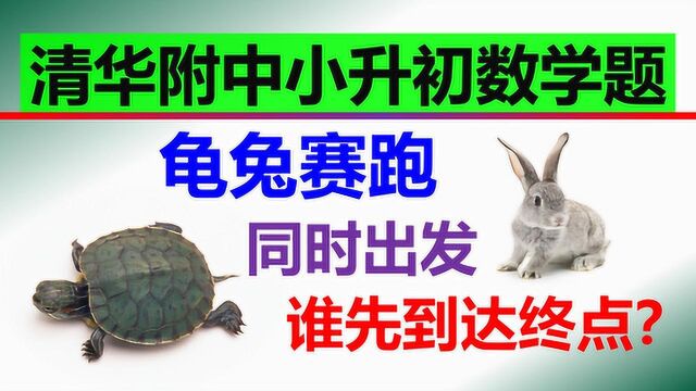 龟兔赛跑谁赢了?懒惰的兔子还是坚持不懈的乌龟?小故事大道理