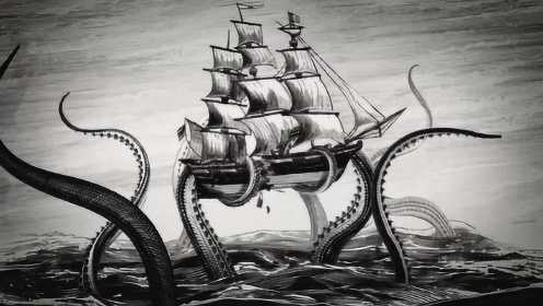 深海怪兽之谜——大王乌贼可以长多大，历史上真有80米长的乌贼吗？