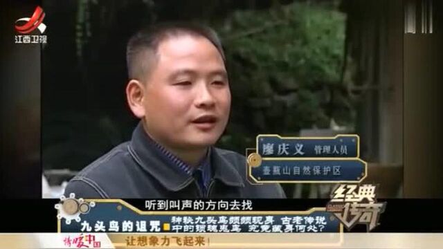 九头鸟的诅咒:神秘怪鸟频频现身 出现都有人离奇死亡 锁魂鬼